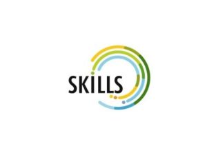 SKILLS II - Puzzle